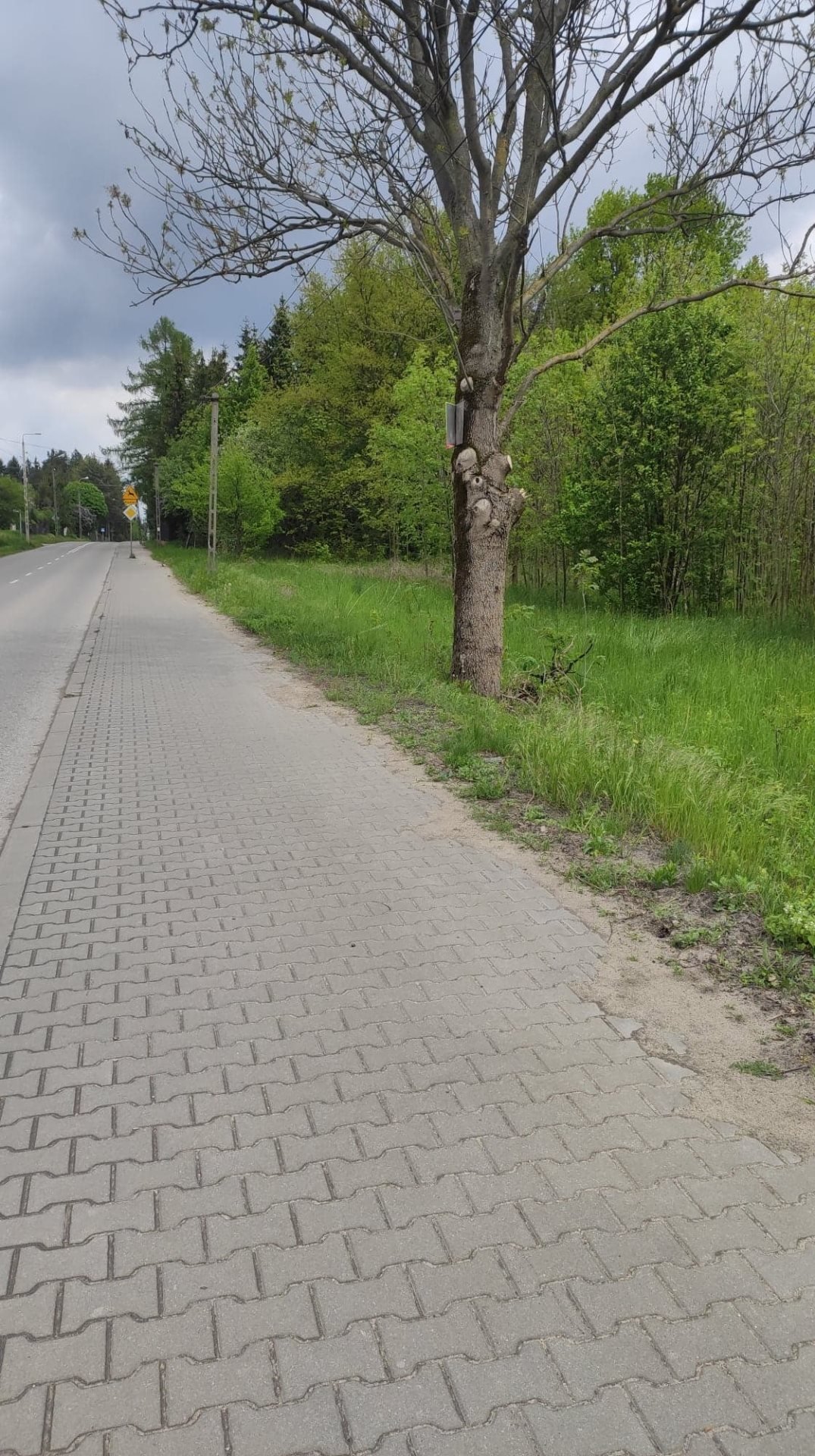 Działka 22 100 m² w Głoskowie – spokojna okolica i dobry dojazd Głosków, Głosków  22 100m2 Foto 1