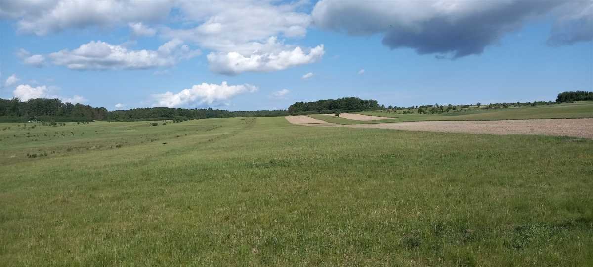 Działka rekreacyjna na sprzedaż Myślinów, Myślinów  3 001m2 Foto 2