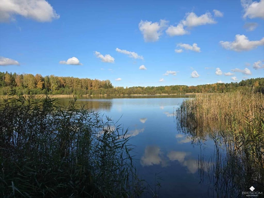 Działka rolna na sprzedaż Targowska Wola  2 655m2 Foto 1