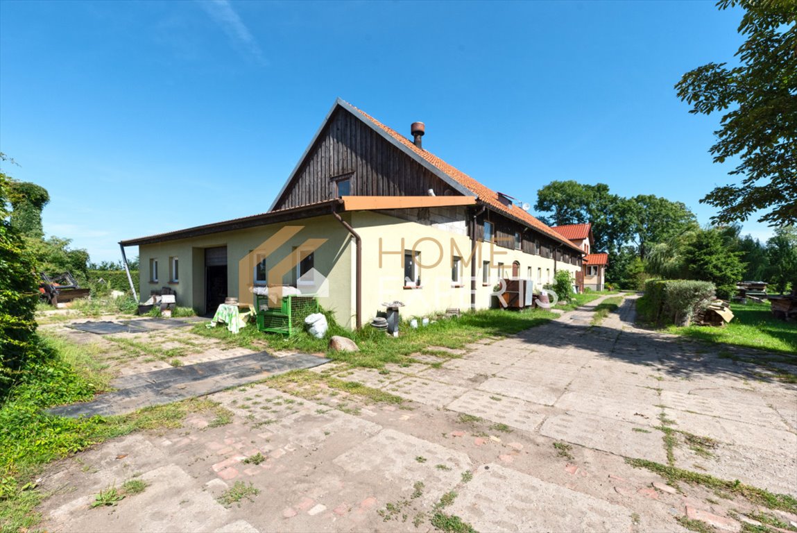 Lokal użytkowy na wynajem Wiślinka, Szkolna  365m2 Foto 4