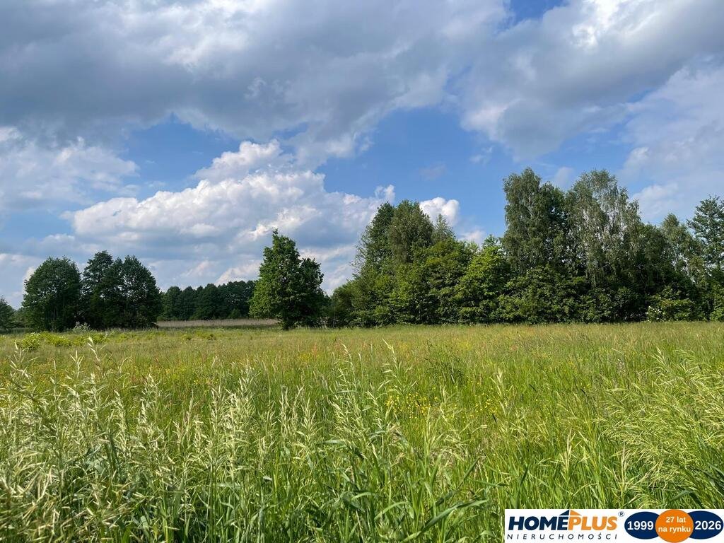 Zapraszam do inwestycji na działce 8 808 m² z szerokimi możliwościami rozwoju Borki  8 809m2 Foto 1