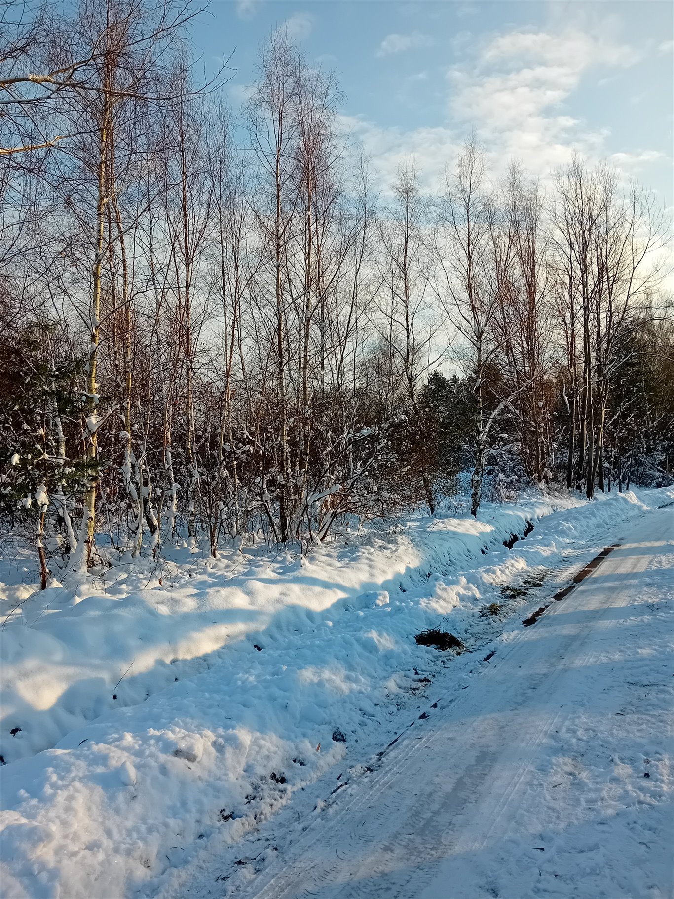 Działka budowlana na sprzedaż Tworóg Mały, Brzozowa  800m2 Foto 7