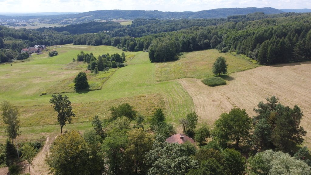 Działka budowlana na sprzedaż Lutcza  107 000m2 Foto 18