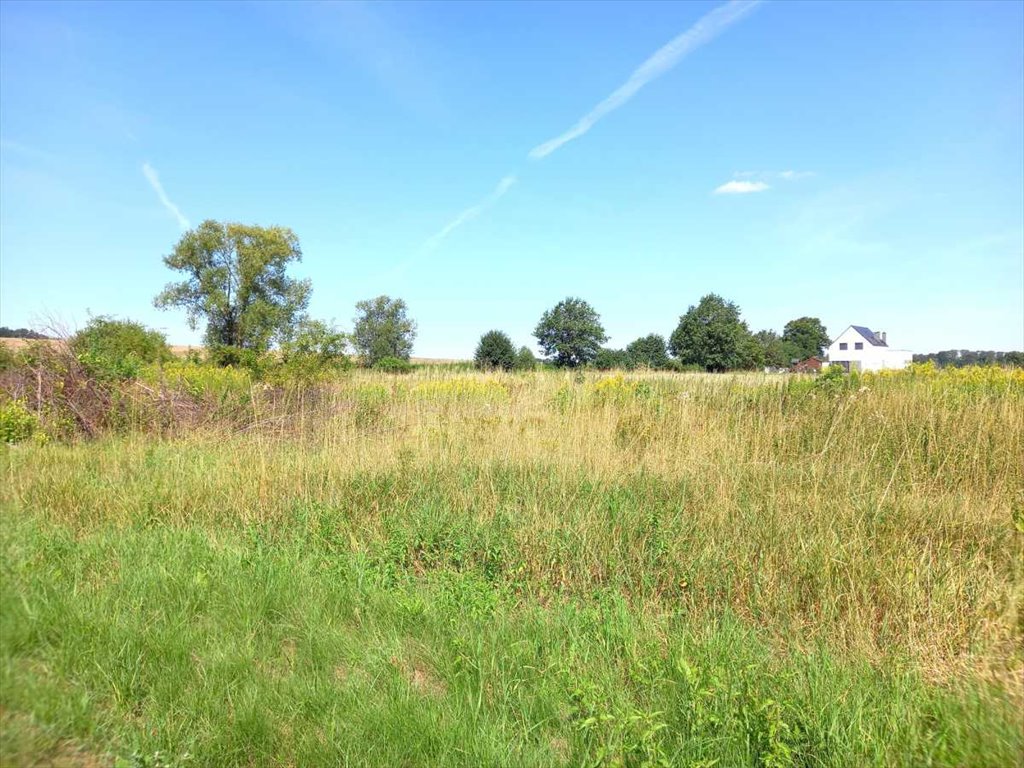 Działka budowlana na sprzedaż Wieruszów, Wieruszów  2 100m2 Foto 8