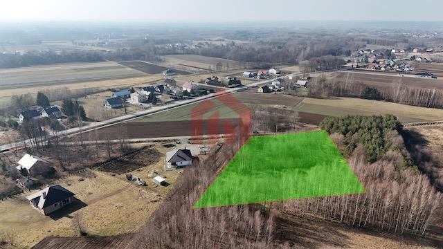 Działka inna na sprzedaż Tuszyma  5 404m2 Foto 2