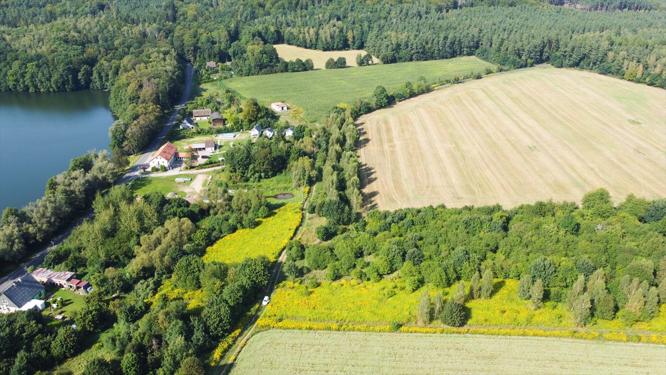 Działka rolna na sprzedaż Krąg  2 936m2 Foto 4