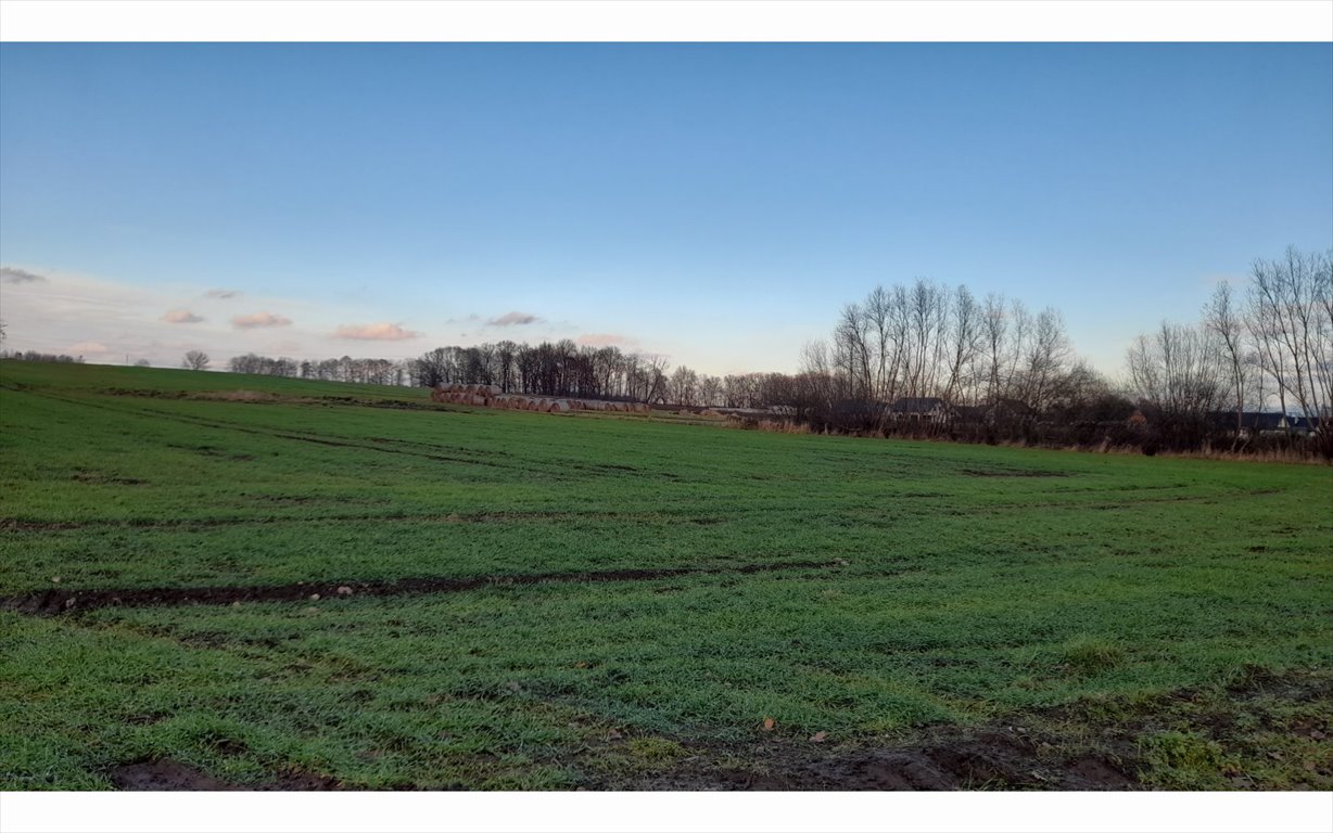 Działka budowlana na sprzedaż Krzeczyn Wielki, Krzeczyn Wielki  26 673m2 Foto 3