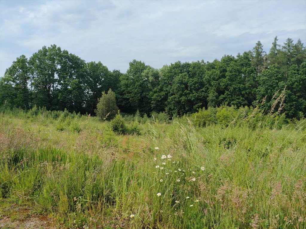 Działka inna na sprzedaż Bielawa  1 120m2 Foto 3