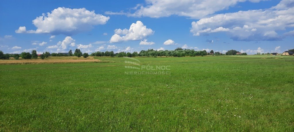 Działka rolna na sprzedaż Dobrzyniewo Kościelne  7 985m2 Foto 5