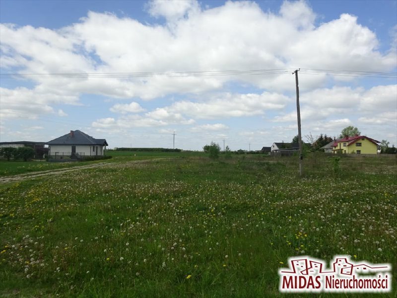 Działka rolna na sprzedaż Kowal, Przydatki Gołaszewskie 1 160m2 Foto 1 Działka rolna na sprzedaż Kowal, Przydatki Gołaszewskie 1 160m2 Foto 1