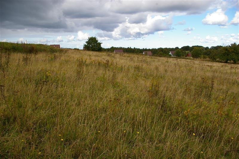 Działka budowlana na sprzedaż Zakrzewo, Zakrzewo  4 300m2 Foto 11