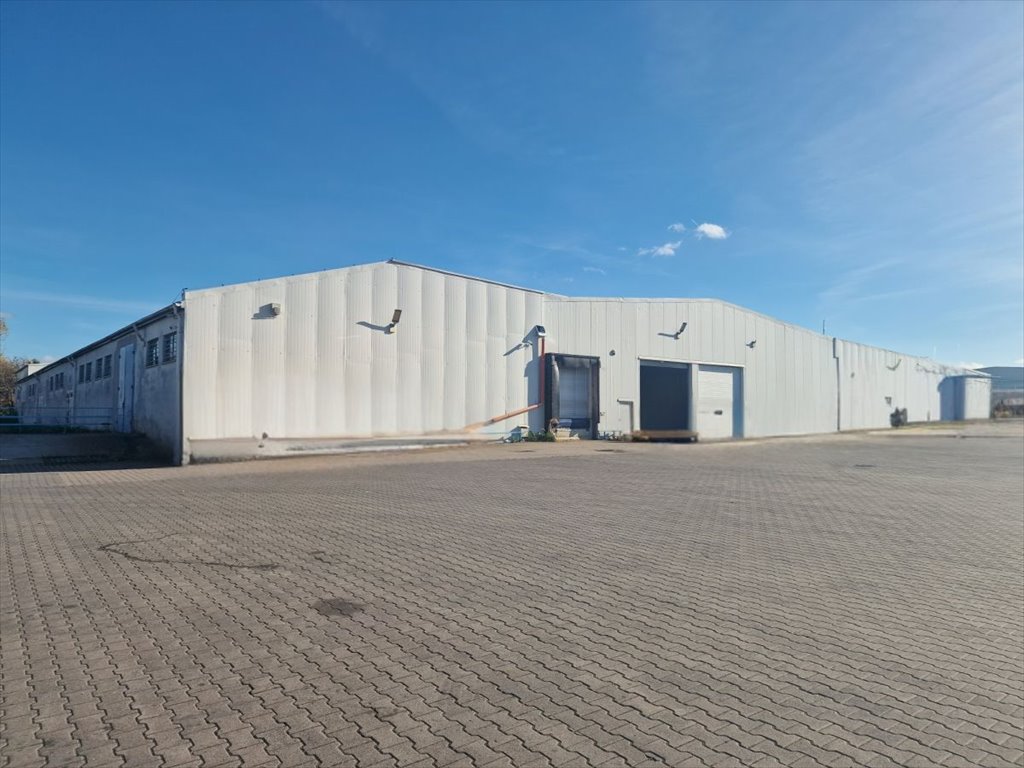 Magazyny i produkcja w Brzezinach, 2970 m², atrakcyjna cena Brzeziny  2 970m2 Foto 1