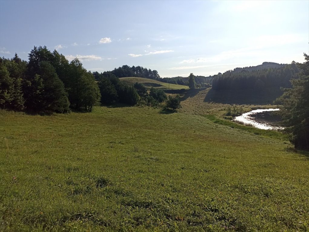 Działka gospodarstwo rolne na sprzedaż Udziejek  50 600m2 Foto 7