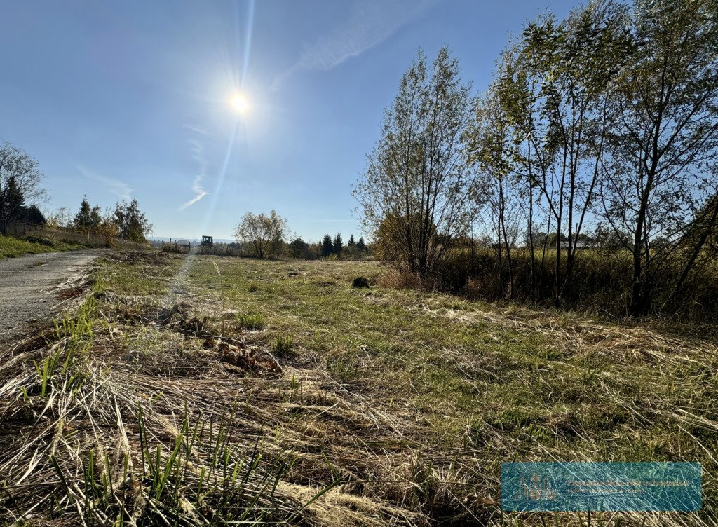 Działka budowlana na sprzedaż Kielanówka  6 177m2 Foto 3