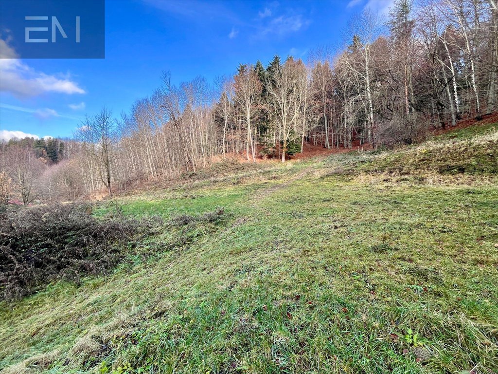 Działka budowlana na sprzedaż Żarnowa  21 100m2 Foto 3