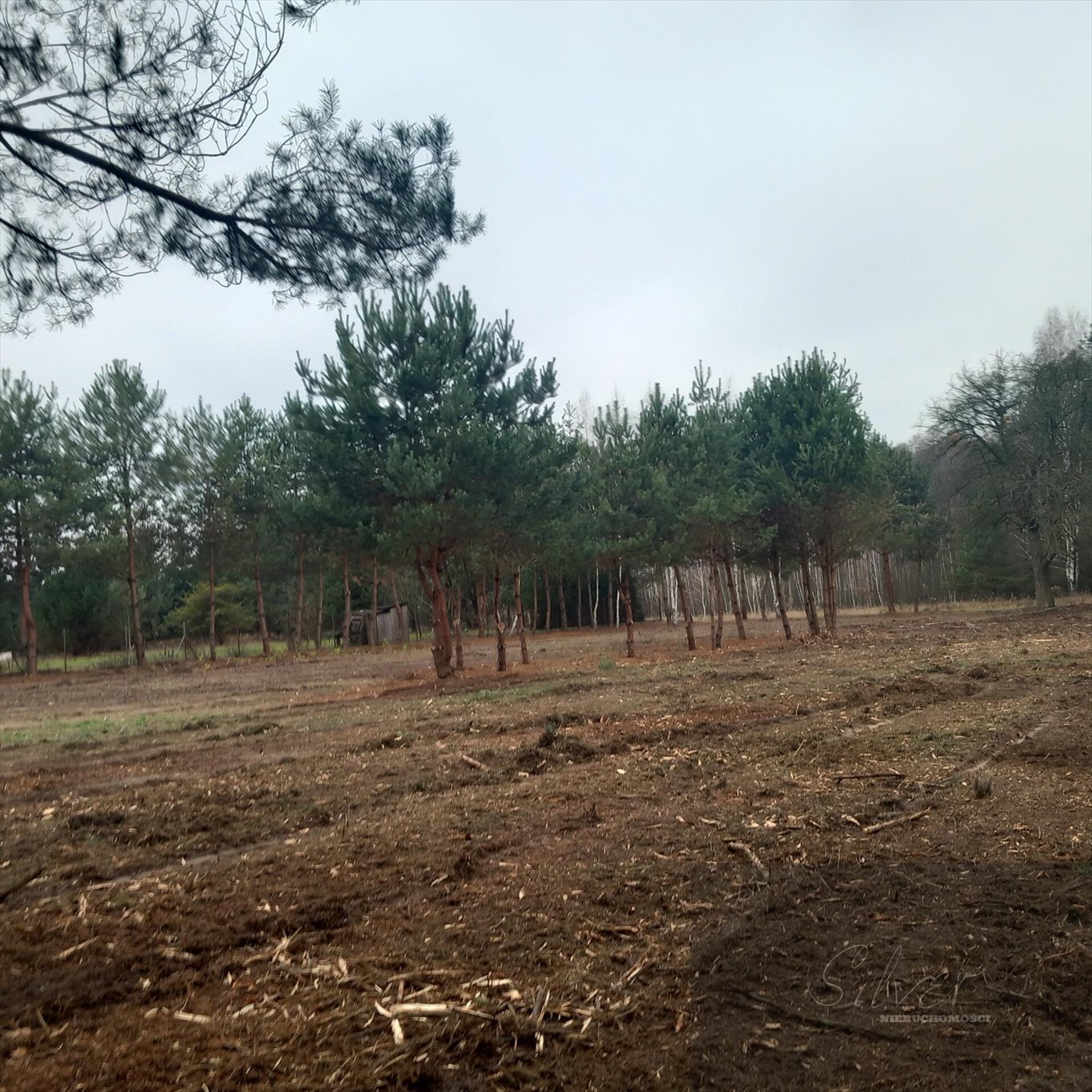 Działka budowlana na sprzedaż Adamów-Parcel  1 540m2 Foto 1