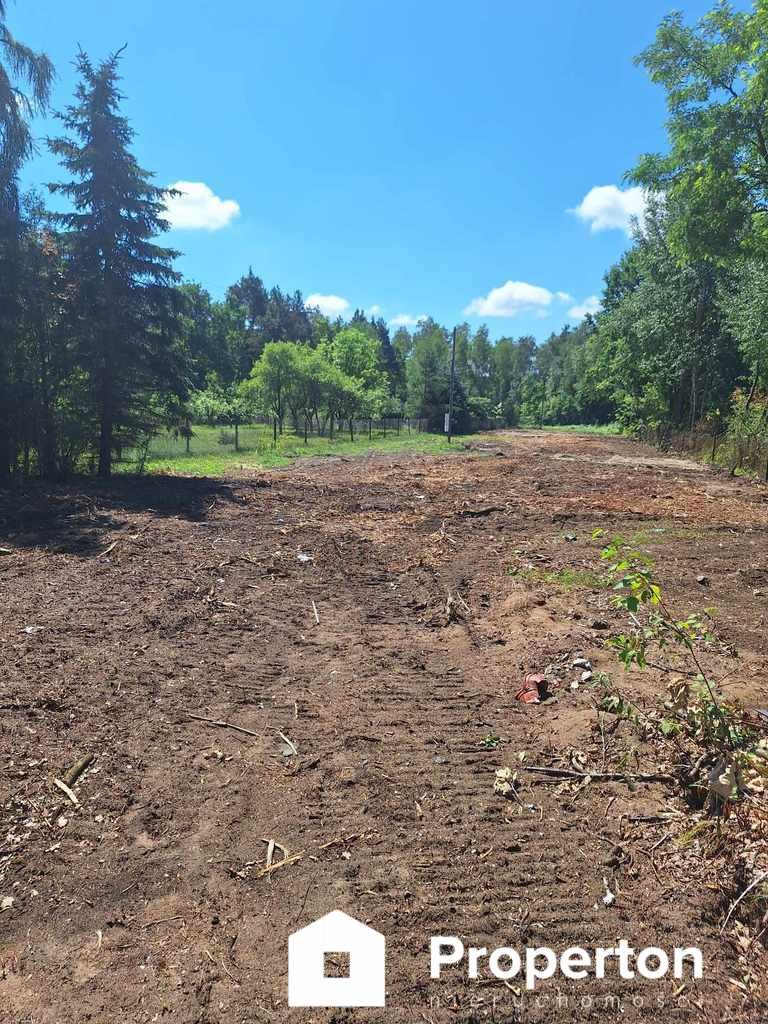 Działka inna na sprzedaż Izabela, Postępu  5 000m2 Foto 3