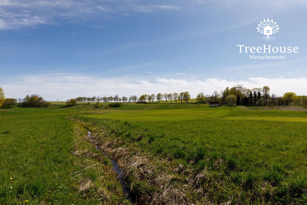 Działka budowlana na sprzedaż Glaznoty  48 900m2 Foto 9