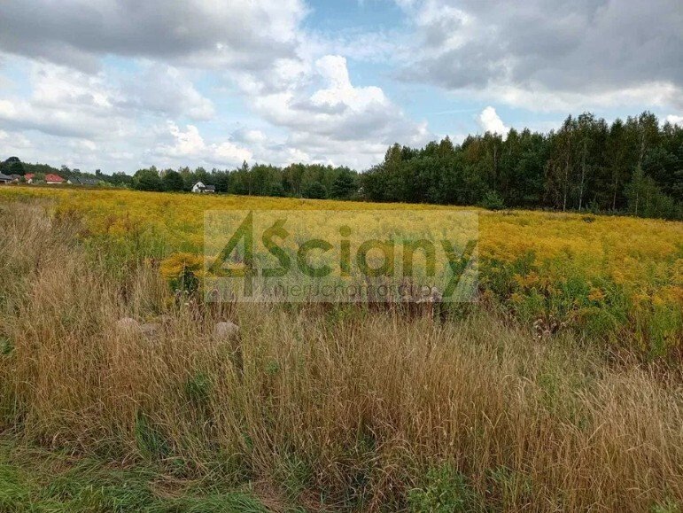 Sprzedam działkę 804 m² w Woli Mrokowskiej z mediami Wola Mrokowska  804m2 Foto 1