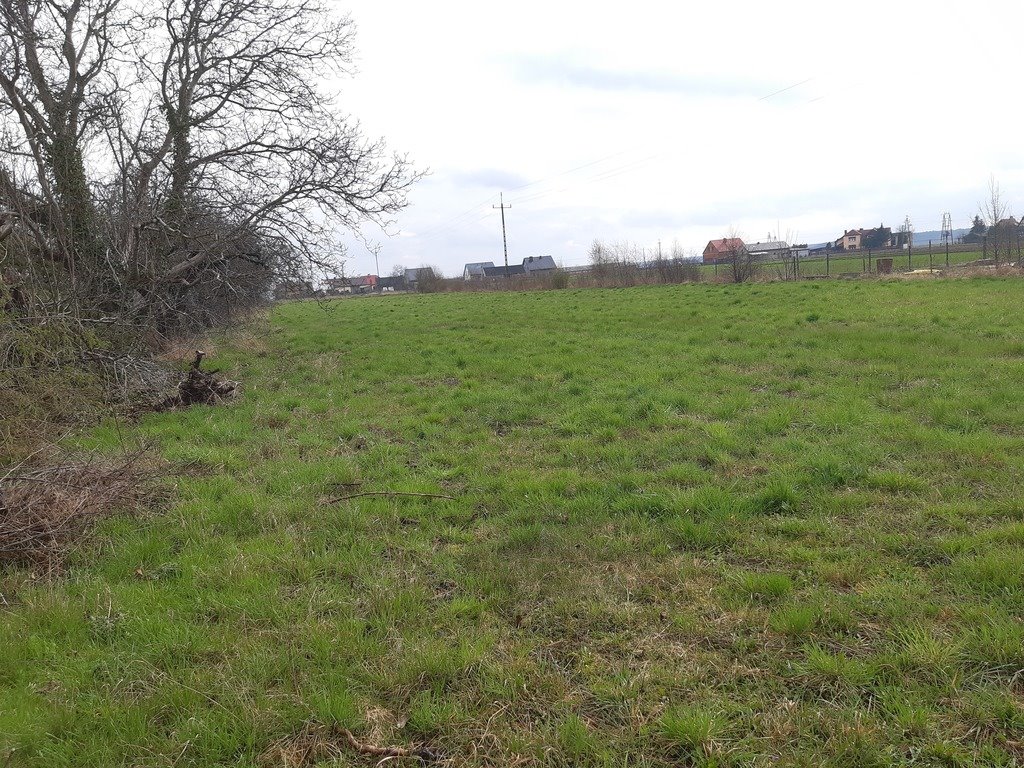 Działka budowlana na sprzedaż Łąkociny, Krotoszyńska  6 200m2 Foto 10