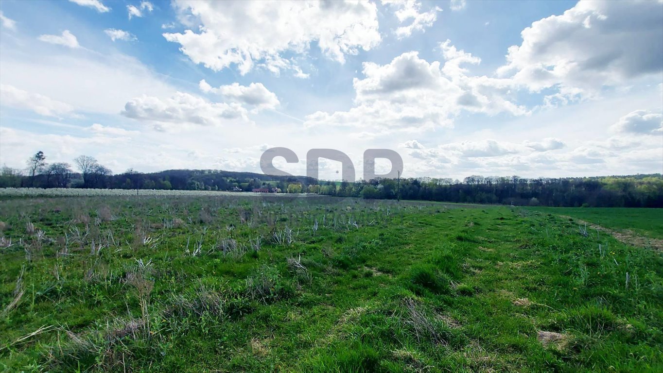 Działka siedliskowa na sprzedaż Borkowice  3 354m2 Foto 3