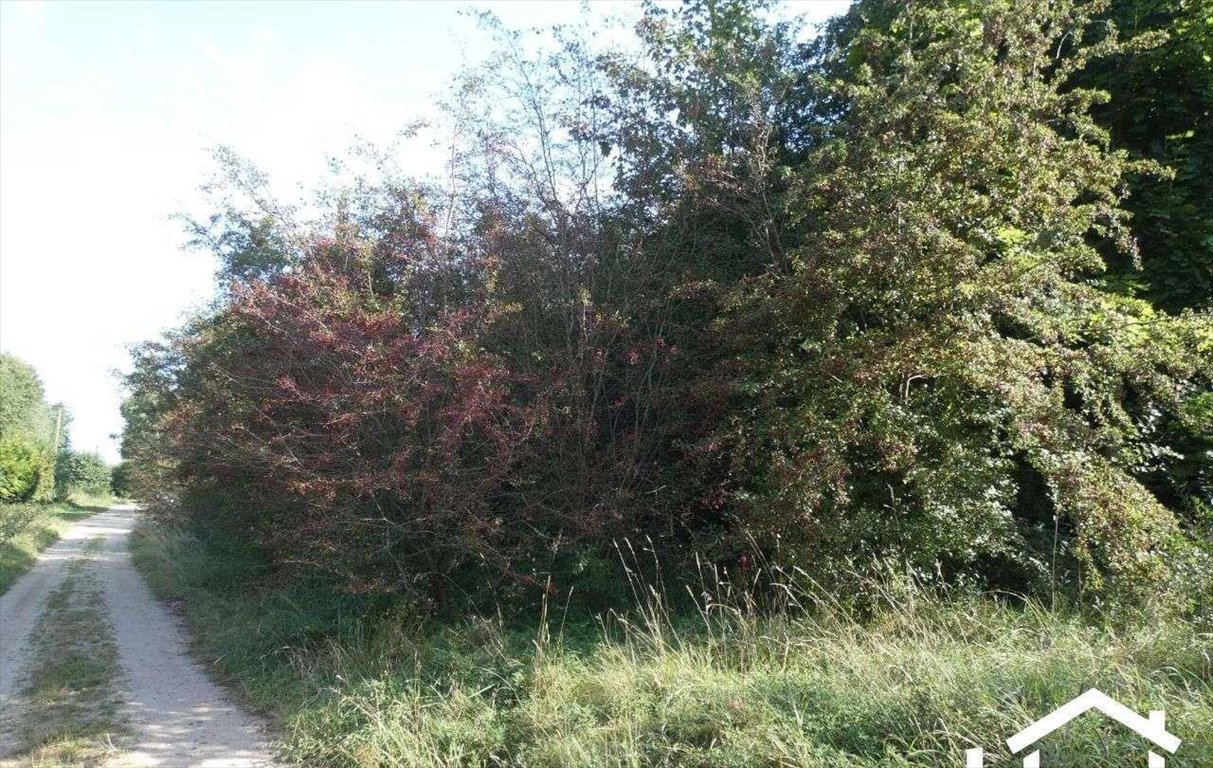 Działka 2133 m² z lasem i mediami, blisko jeziora - polecam! Charzykowy, ul. Droga pod Strzechę  2 133m2 Foto 1
