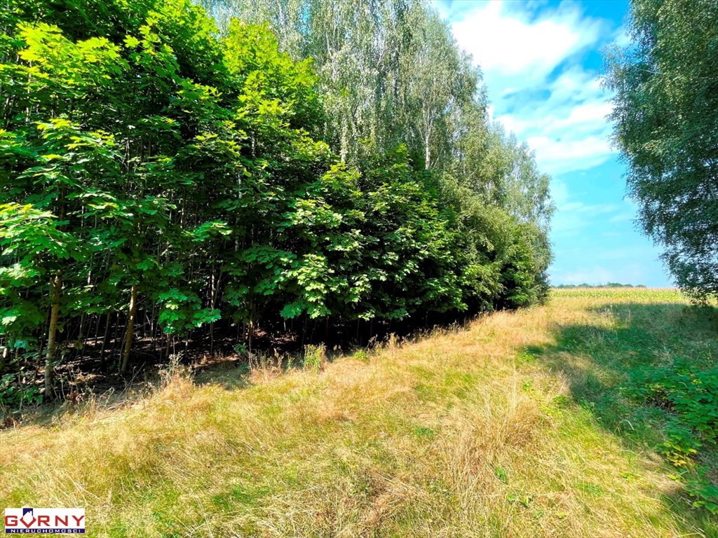 Działka inna na sprzedaż Mniszków  7 400m2 Foto 4