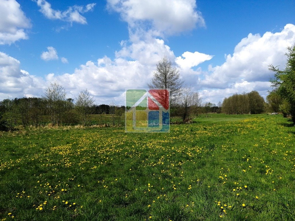 Działka budowlana na sprzedaż Holendry Dobrowskie  8 000m2 Foto 1