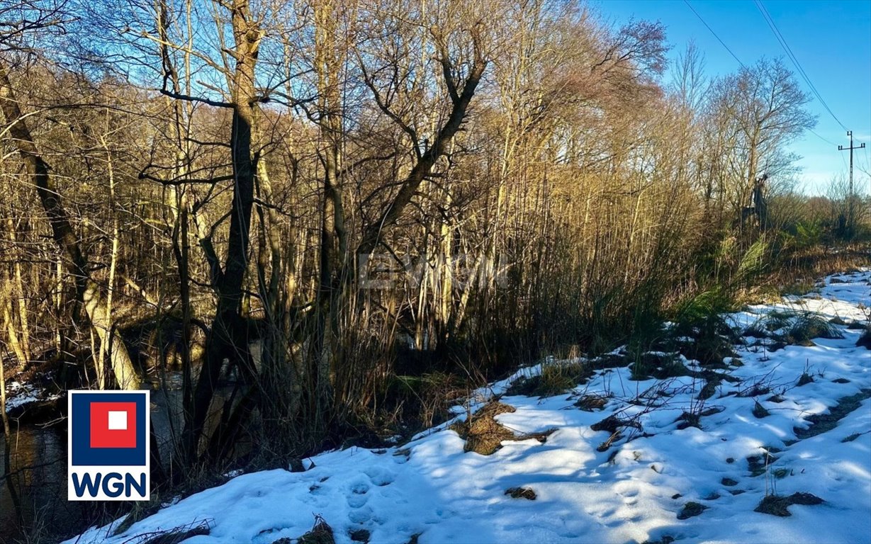 Działka rolna na sprzedaż Dębnica Kaszubska, Ks. Antoniego Kani  5 700m2 Foto 5