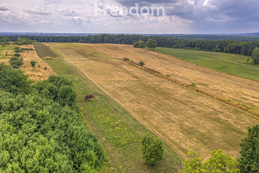 Działka rolna na sprzedaż Siemonia, Kościuszki  17 300m2 Foto 5