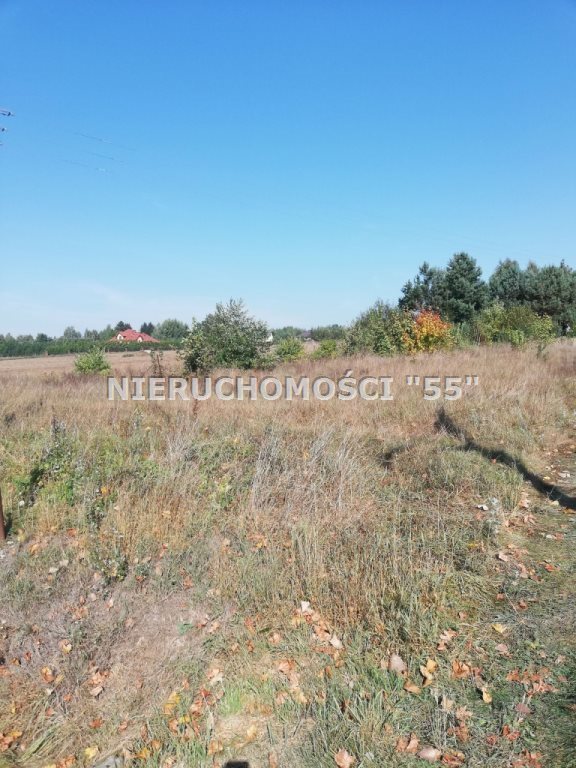 Działka inna pod dzierżawę Konstantynów Łódzki, okolice Konstantynowa 2 000m2 Foto 1 Działka inna pod dzierżawę Konstantynów Łódzki, okolice Konstantynowa 2 000m2 Foto 1