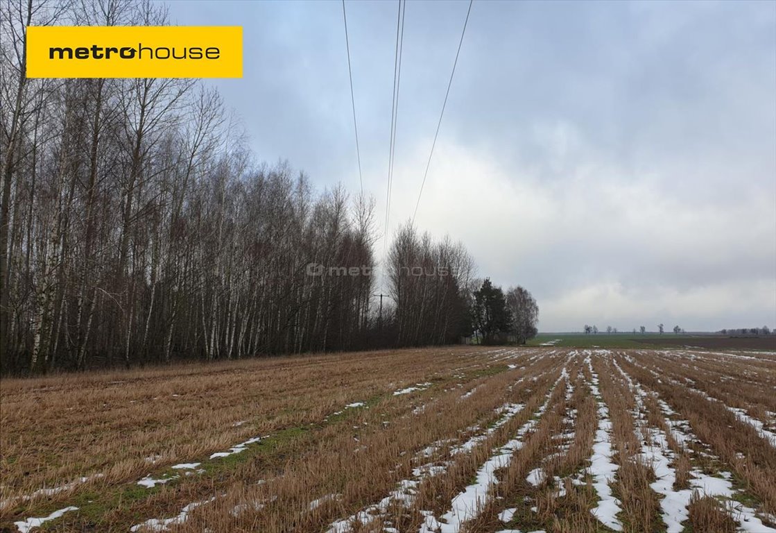 Działka leśna na sprzedaż Wojnów  22 000m2 Foto 1