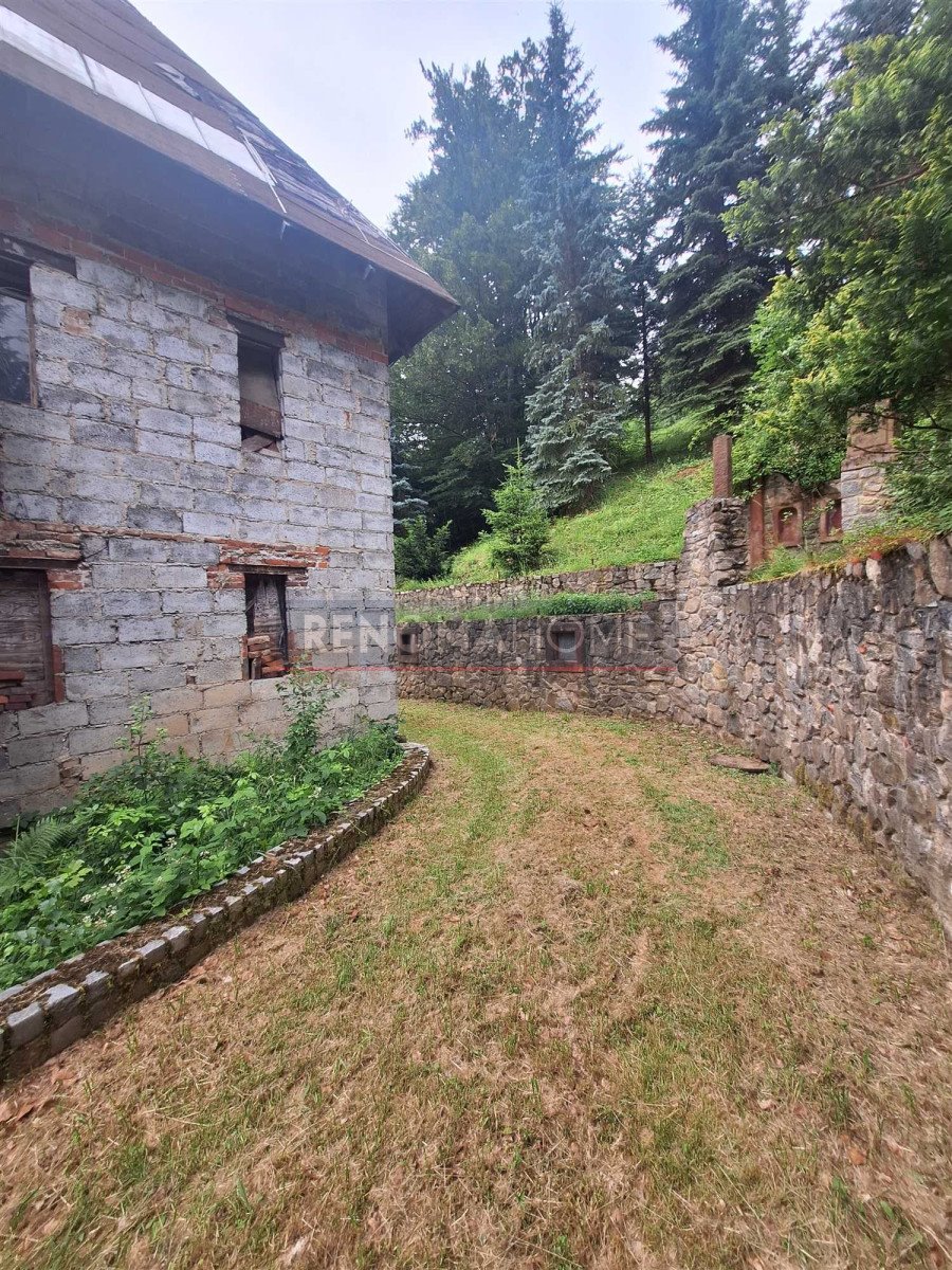 Przestronny dom z potencjałem, las, piwnica, stylowe zabudowania Pieszyce  320m2 Foto 1