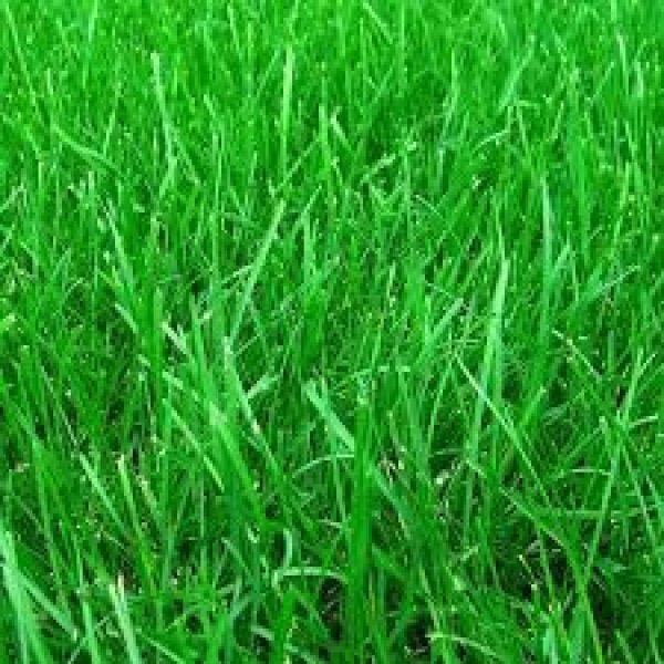 Działka budowlana z widokiem na wzgórza i Wisłokę Dębica  1 200m2 Foto 1