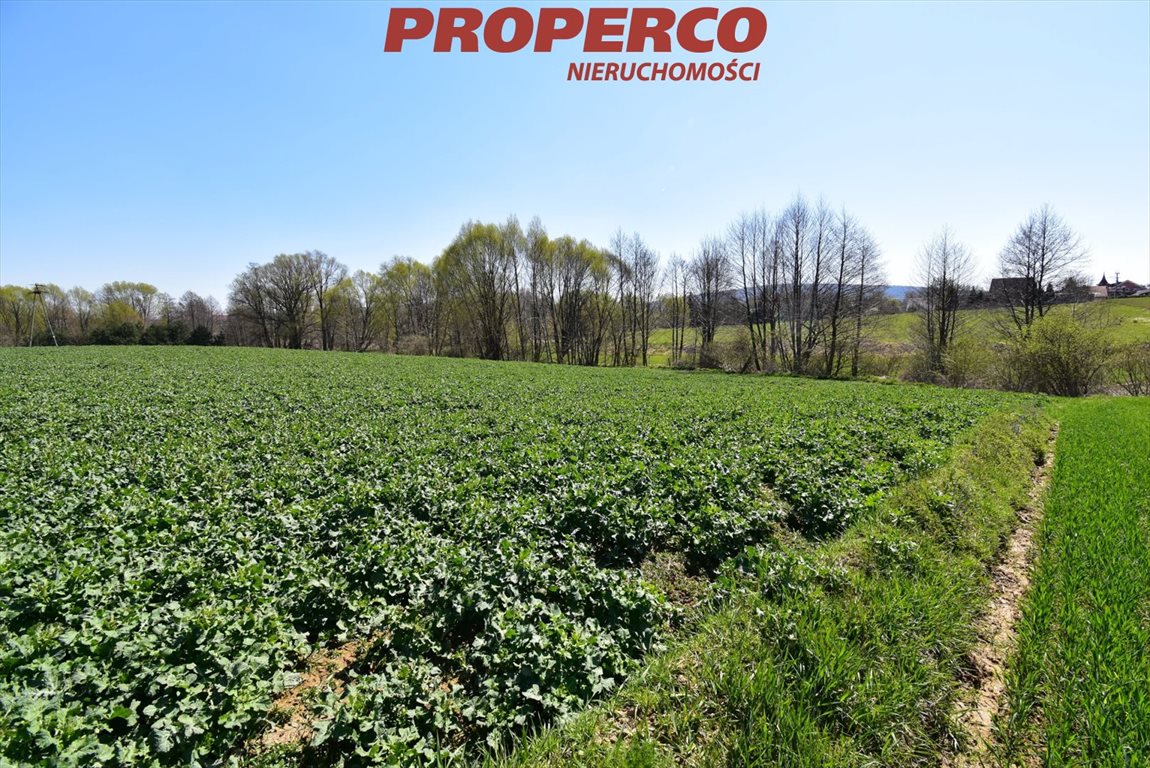 Działka 11 760 m² w Starej Słupi z dostępem do drogi asfaltowej Stara Słupia  11 760m2 Foto 1