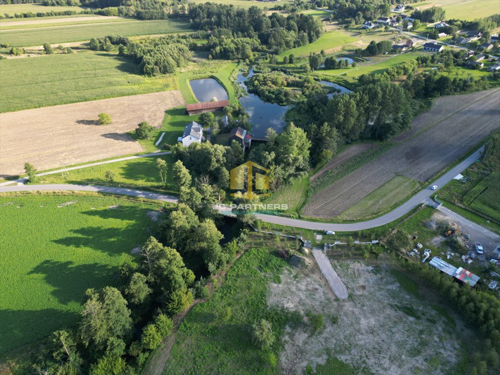 Działka inwestycyjna na sprzedaż Sierakowice Lewe  19 621m2 Foto 6