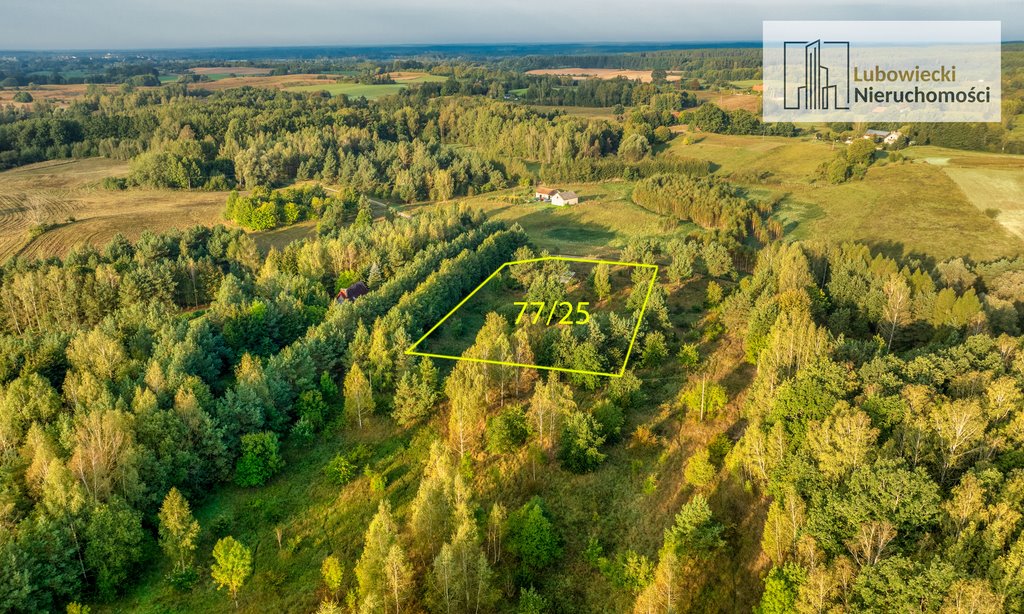 Działka budowlana na sprzedaż Siedliska  5 004m2 Foto 9