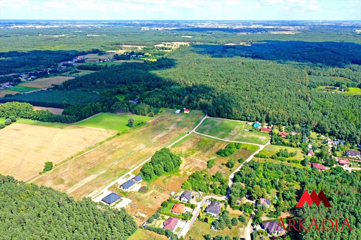 Działka rolna na sprzedaż Nowy Witoszyn  3 100m2 Foto 2