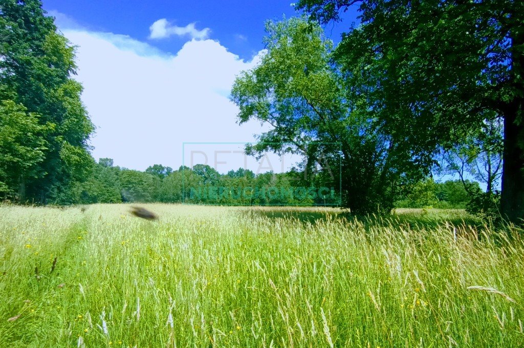 Działka siedliskowa na sprzedaż Ciepłe  23 000m2 Foto 1