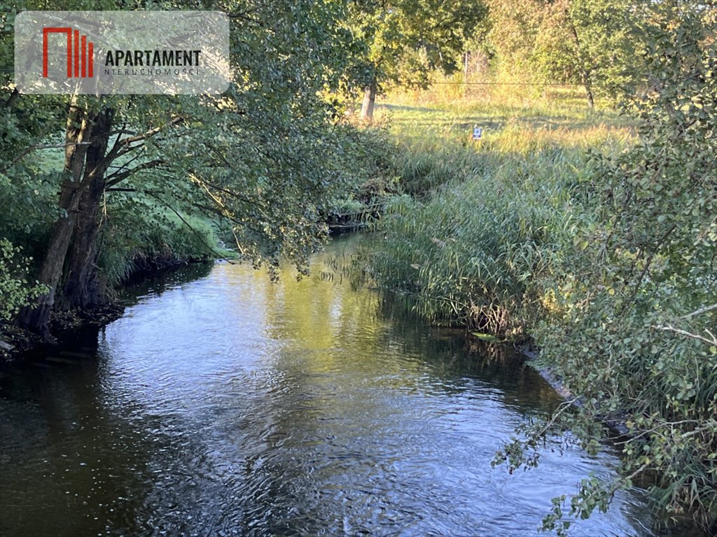 Działka gospodarstwo rolne na sprzedaż Dalewo  29 700m2 Foto 8