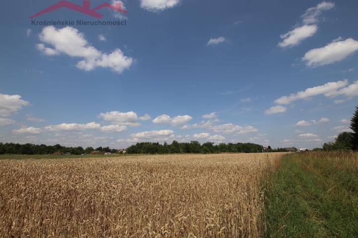 Działka budowlana na sprzedaż Łężany  3 930m2 Foto 2