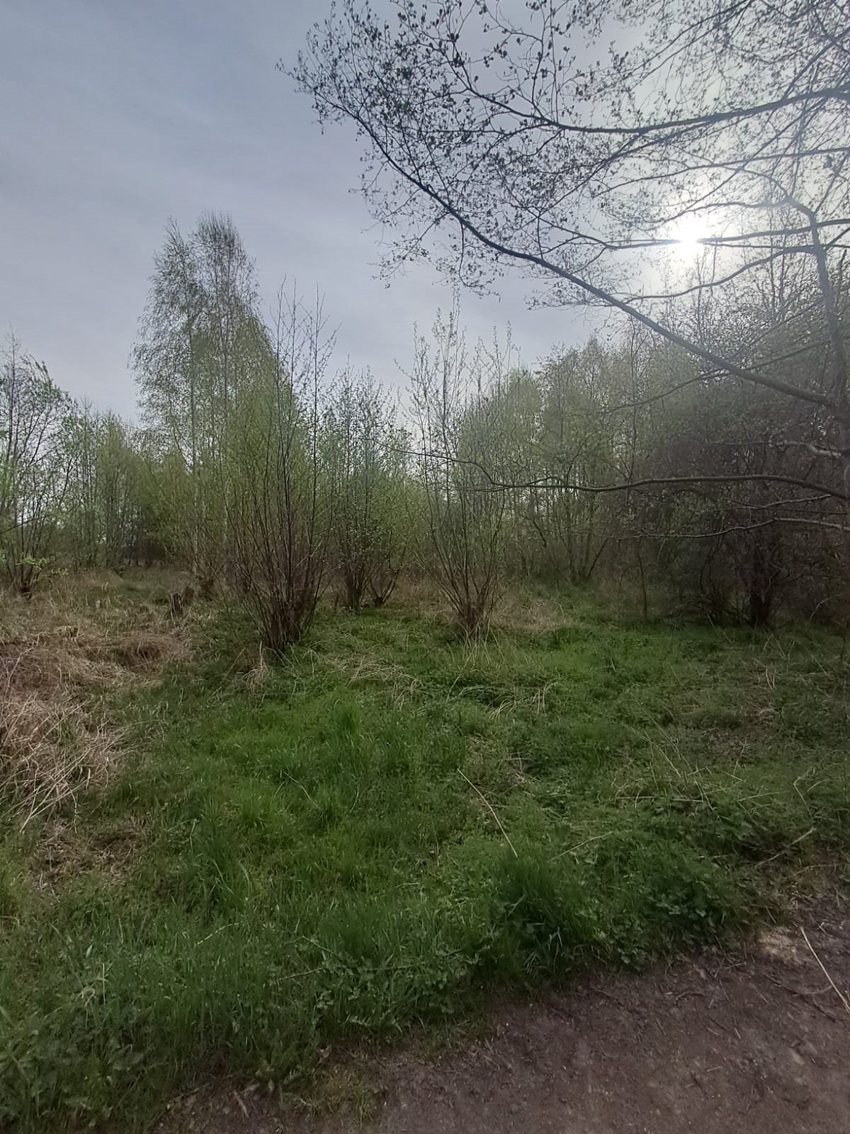 Działka rekreacyjna 1882 m² w spokojnej okolicy Kalisza zapraszam Kalisz, Wał Piastowski  1 882m2 Foto 1