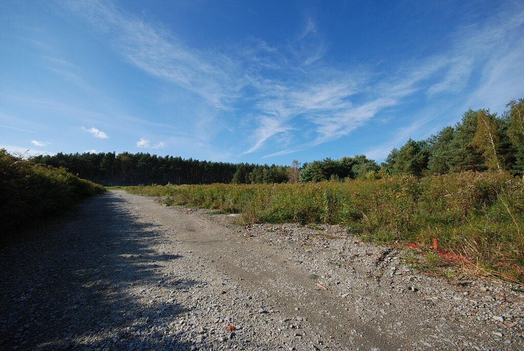 Działka budowlana na sprzedaż Grodzanów  1 000m2 Foto 8