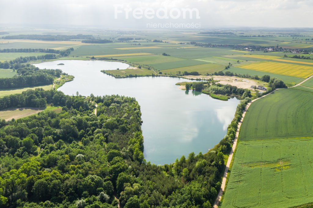 Działka inwestycyjna na sprzedaż Brzeziny  520 000m2 Foto 3