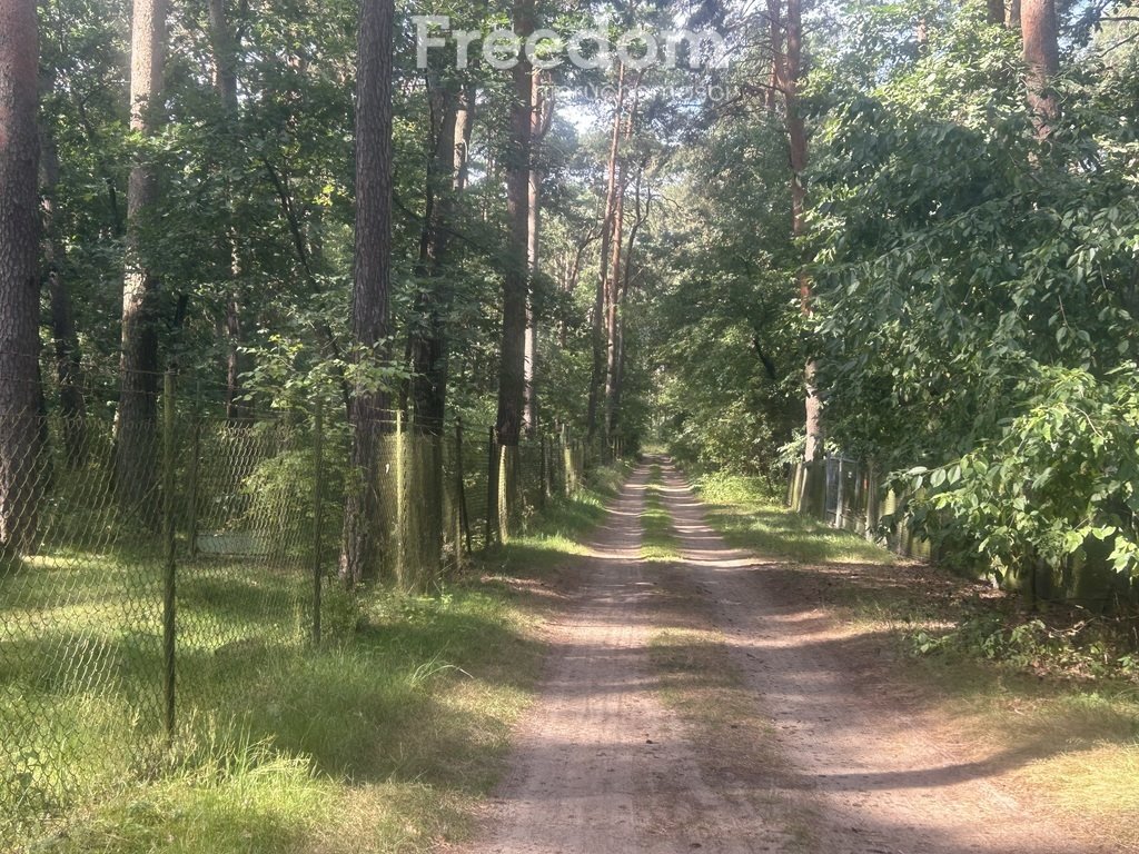 Działka budowlana na sprzedaż Rogoźno  1 904m2 Foto 3