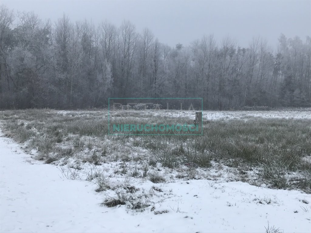 Działka budowlana na sprzedaż Stara Wieś  1 880m2 Foto 3