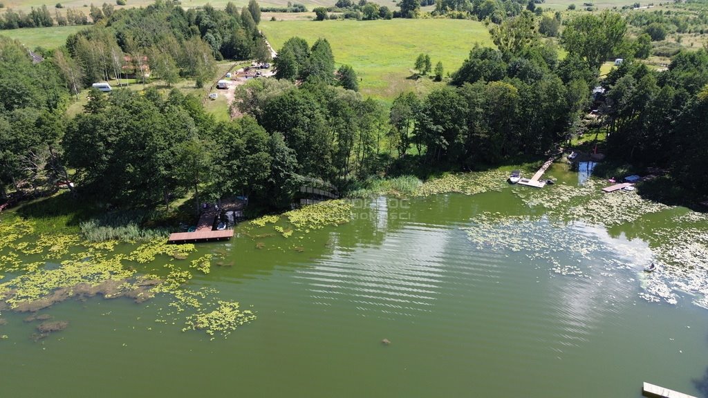 Działka inna na sprzedaż Nasy  4 300m2 Foto 2