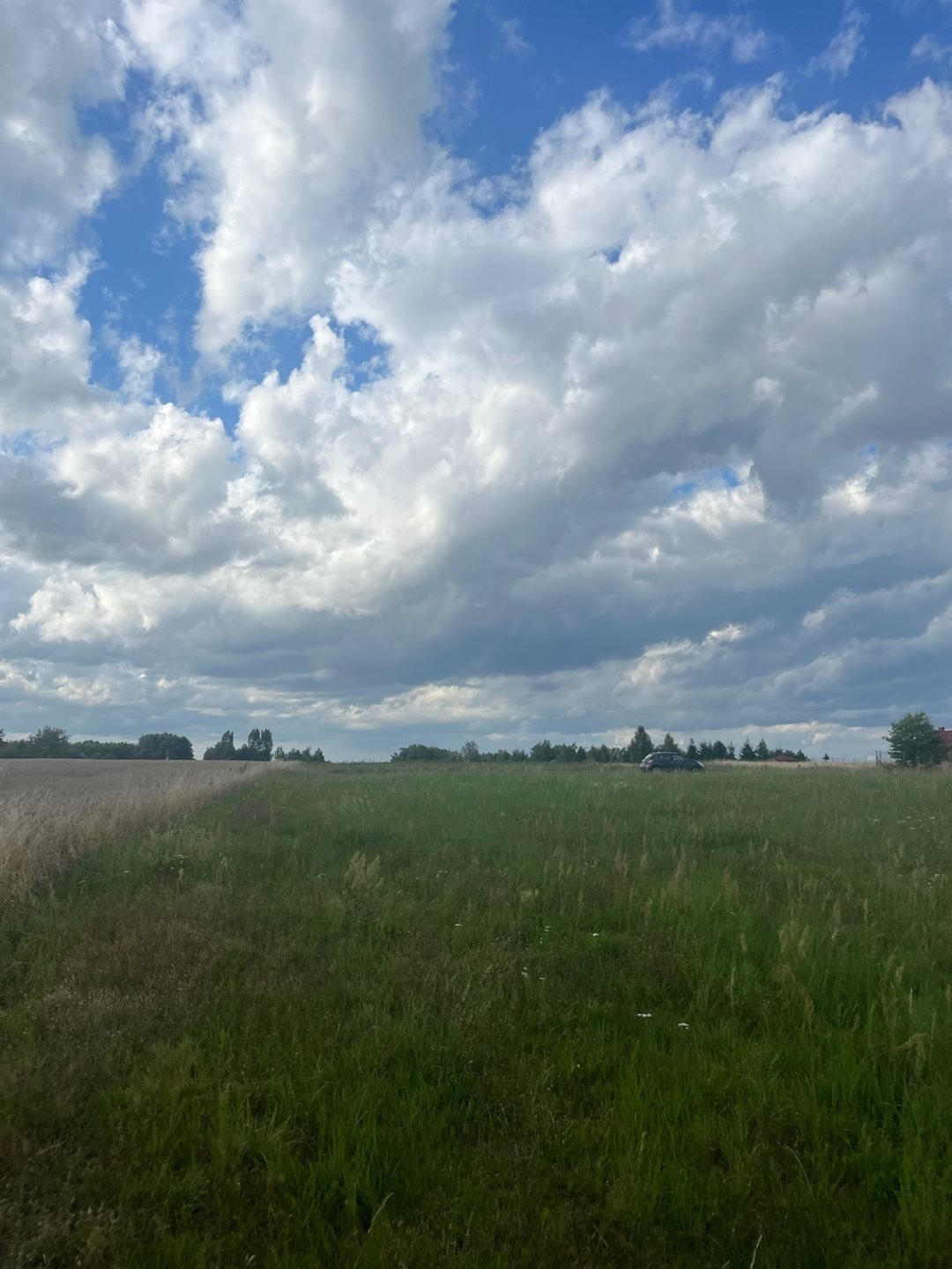 Działka inna na sprzedaż Beleń  10 300m2 Foto 3