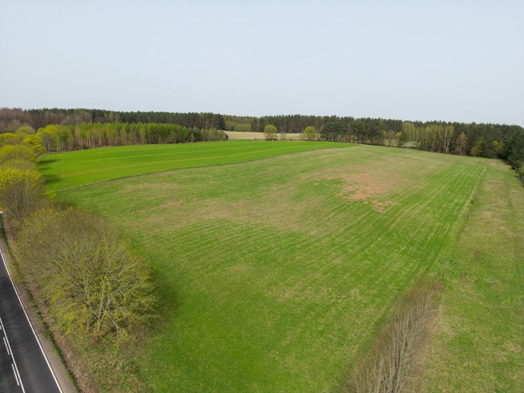 Działka rolna na sprzedaż Barwino  11 300m2 Foto 4