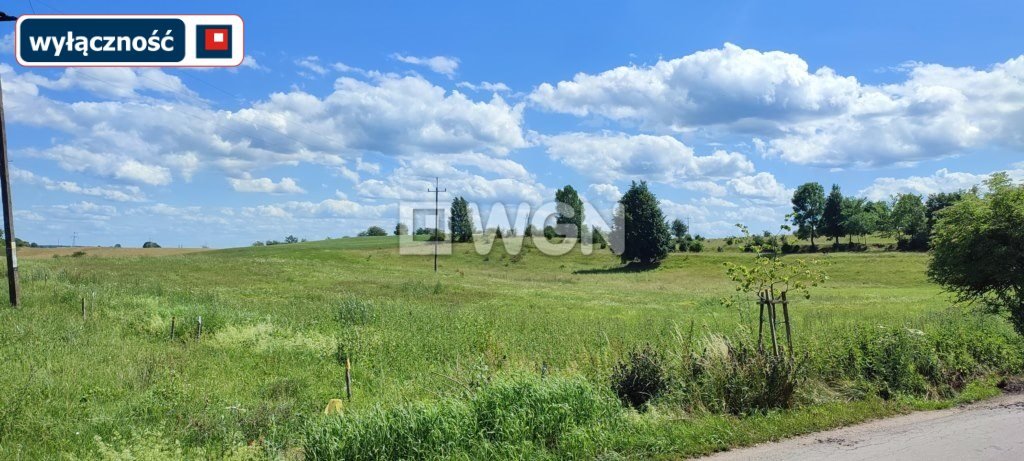 Działka inna na sprzedaż Miłusze  6 500m2 Foto 2